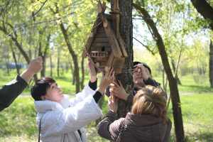 БІРЛІК АЛЛЕЯСЫ